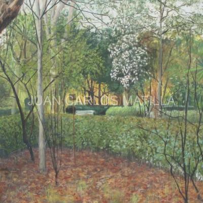 Botanico 7